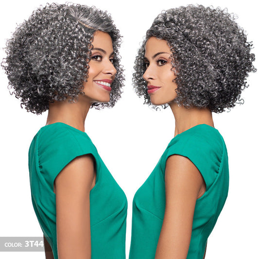 Foxy Silver Salt N Pepper J-Part Lace Front Wig - ALLISON Alexwigs