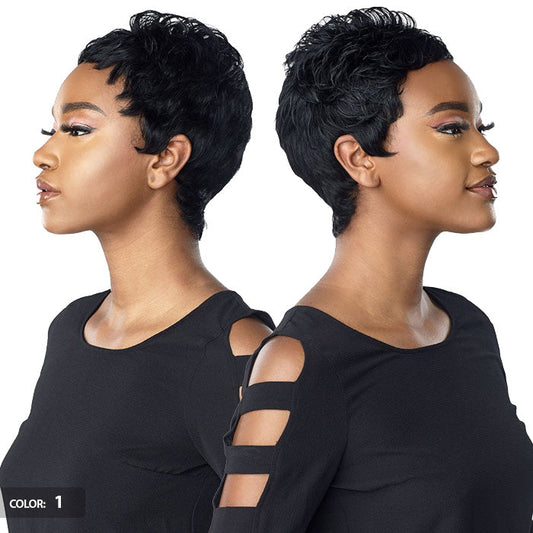 Sensationnel Salt & Pepper Human Hair Empire Wig MONA Alexwigs