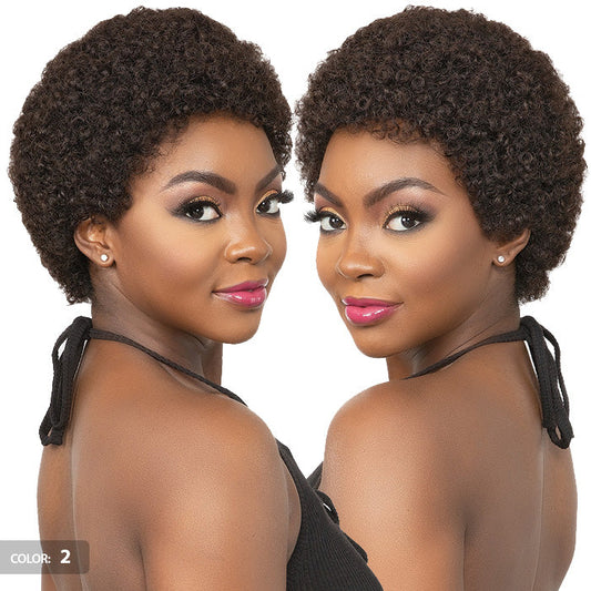 Janet Collection Lavish Full Wig - ATLAS- 100% VIRGIN HUMAN HAIR Alexwigs