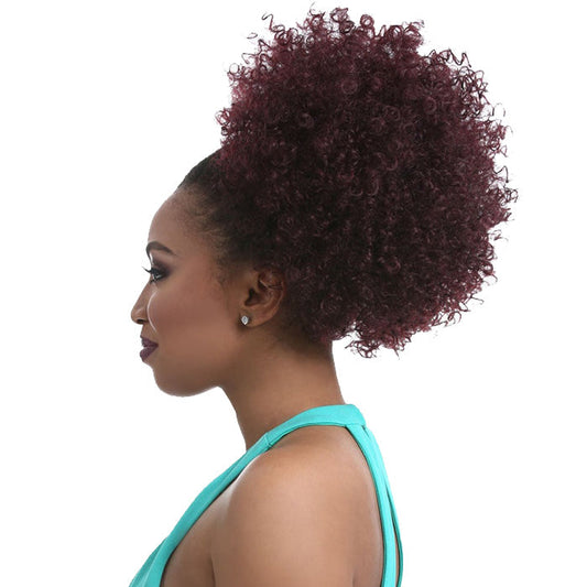 Sensationnel Instant Pony Natural AFRO 10 Alexwigs