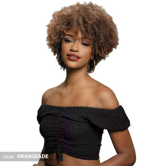 Janet Collection Natural Curly Full Wig - NATURAL AFRO PLES Alexwigs