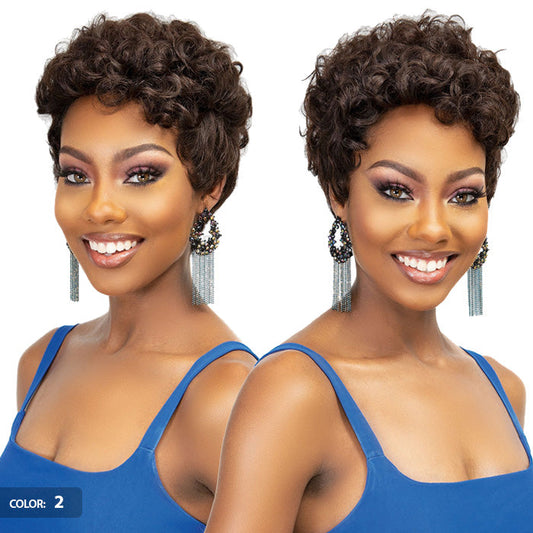 Janet Collection Lavish 100% Virgin Human Hair Full Wig - SASHA Alexwigs