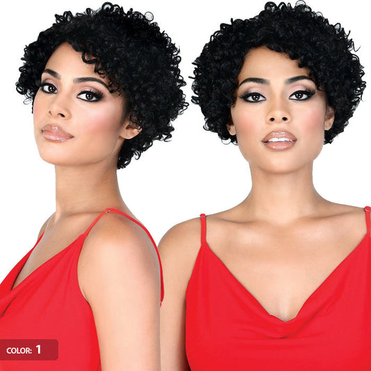 Motown Tress Silver Gray Hair Human Hair Wig SH FIT Alexwigs