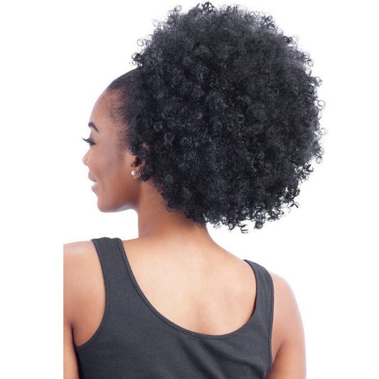 Freetress Equal Drawstring Ponytail NATURAL FRO Alexwigs
