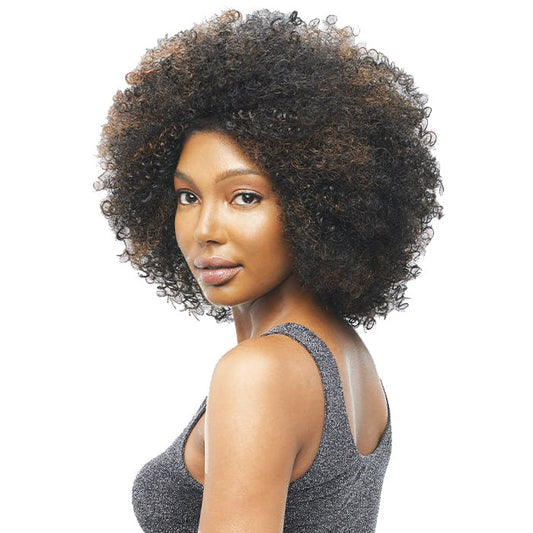 Vanessa Express Weave Half Wig LAS JAX Alexwigs