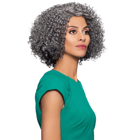 Foxy Silver Salt N Pepper J-Part Lace Front Wig - ALLISON Alexwigs