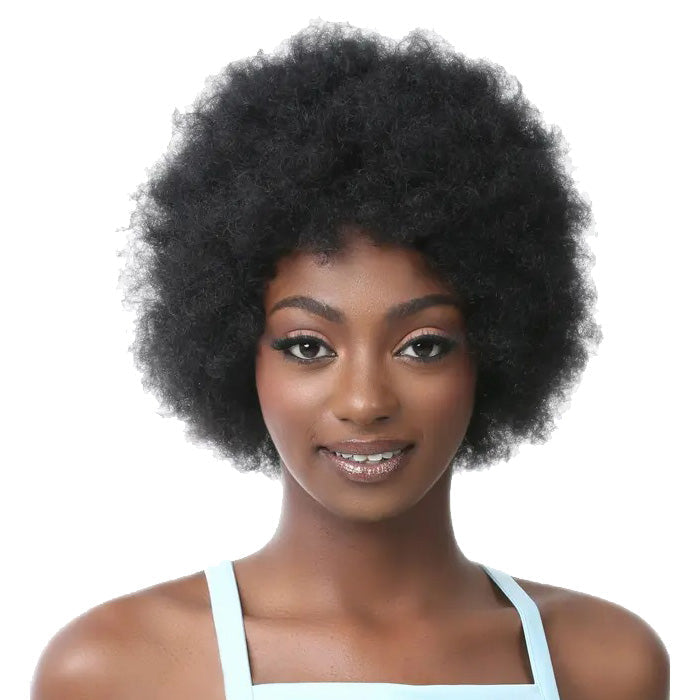 It's a Wig 100% Human Hair Full Wig - HH AFRO WIG 2 Alexwigs