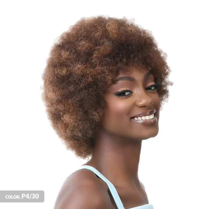 It's a Wig 100% Human Hair Full Wig - HH AFRO WIG 2 Alexwigs