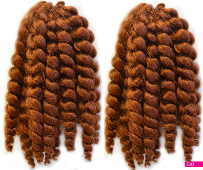 Janet Collection Noir Crochet Braid 2X ROD TWIST BRAID (2in1 Value Pack) Alexwigs