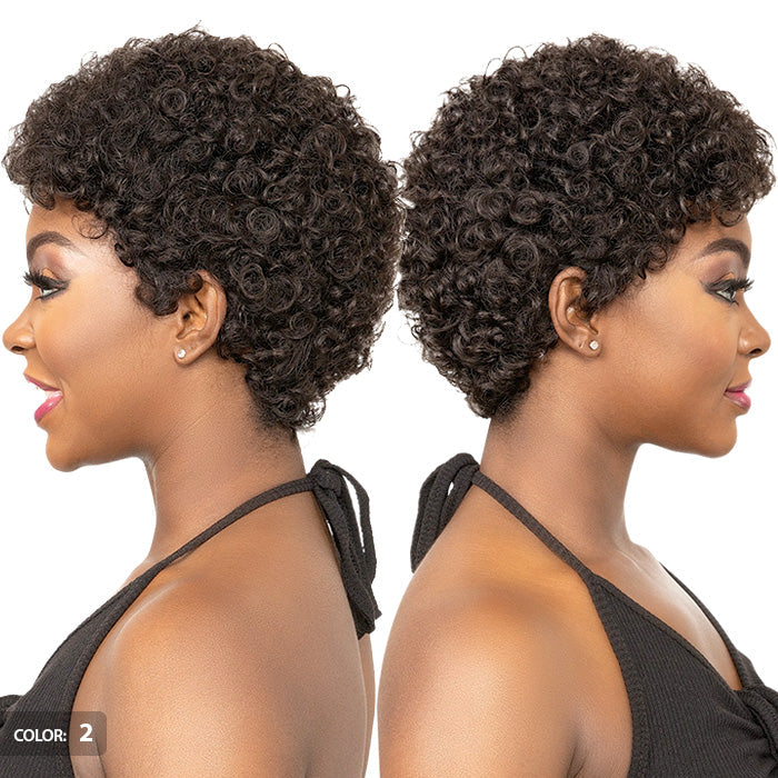 Janet Collection Lavish Full Wig - BUENA - 100% VIRGIN HUMAN HAIR Alexwigs