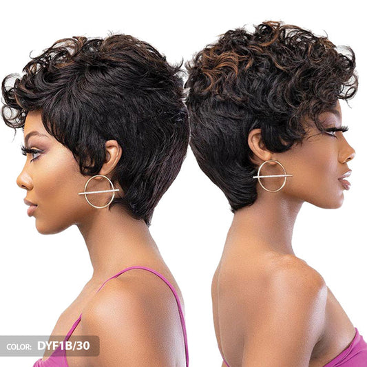 Janet Collection Lavish 100% Virgin Human Hair Full Wig - RILEY Alexwigs