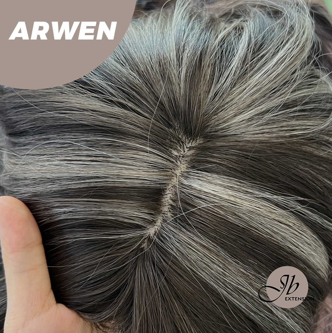 JBEXTENSION 24 Inches Dark Brown with Grey Highlight Wig ARWEN Alexwigs