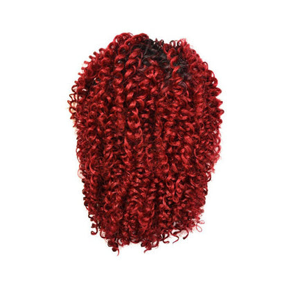 Freetress Equal Drawstring Ponytail KINKY JERRY GIRL Alexwigs