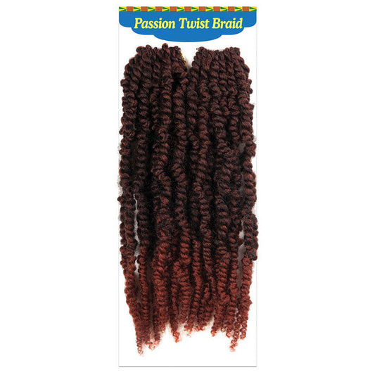 Chade Fashion Alitress 100% Toyokalon Pre-Looped Crochet Braids - PASSION TWIST 12" 2X Alexwigs