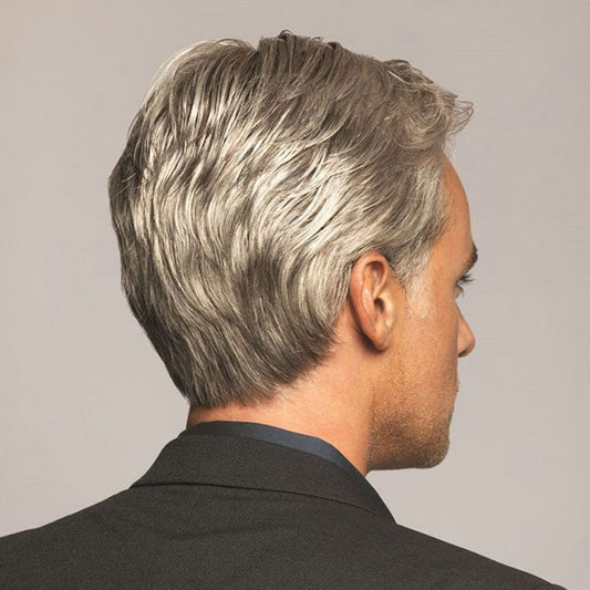 HIM Men's Collection Hand-Tied Lace Front Wig - CLASSIC Alexwigs