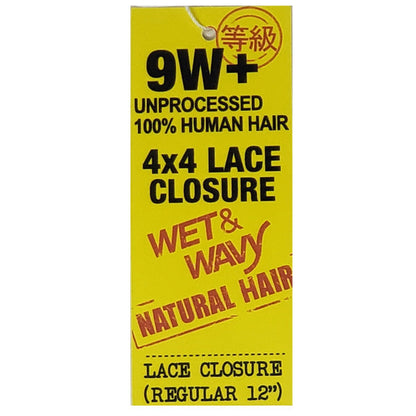 Shake-N-Go 100% Unprocessed Natural Human Hair 9W DEEP INDIAN WET&WAVY 4X4 LACE CLOSURE Alexwigs