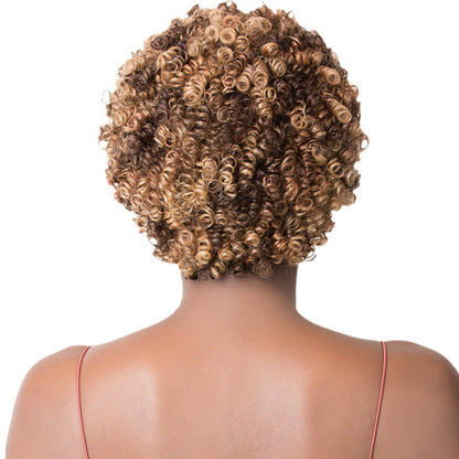 Its a Cap Weave 100% Human Hair Wig HH DIA Alexwigs