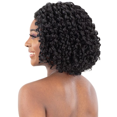 Freetress Equal Lace & Lace Front Wig - NATURAL FLEXI SET Alexwigs
