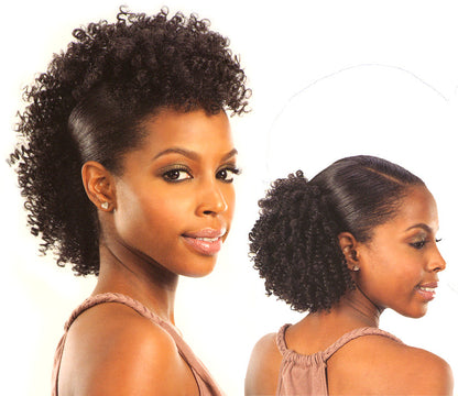 Freetress Equal Drawstring Ponytail COIL UP Alexwigs