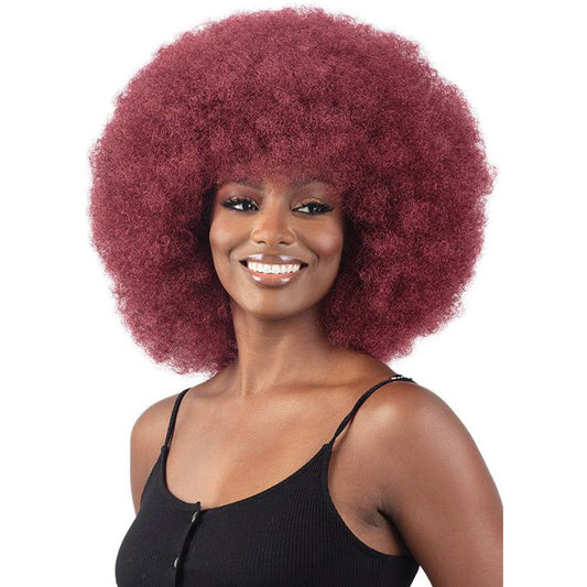 Freetress Equal Wig AFRO LARGE Alexwigs