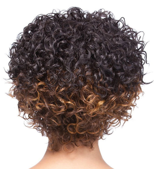 It's a Wig Synthetic Lace Front Wig - SIMPLY LACE SAMMY Alexwigs