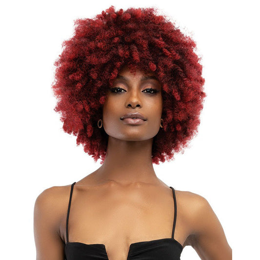 Janet Collection Natural Curly Full Wig - NATURAL AFRO KANE Alexwigs