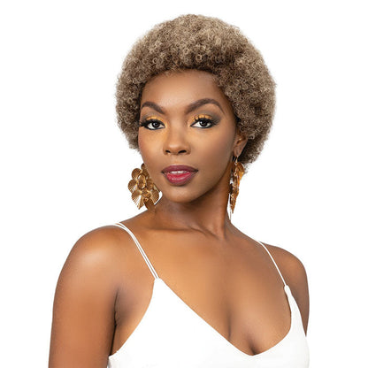 Janet Collection Natural Curly Full Wig - AFRO ABBO Alexwigs