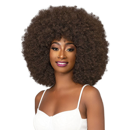 Janet Collection Natural Curly Full Wig - AFRO BADU Alexwigs