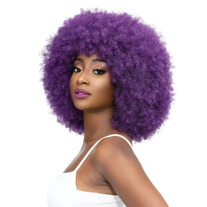 Janet Collection Natural Curly Full Wig - AFRO BADU Alexwigs