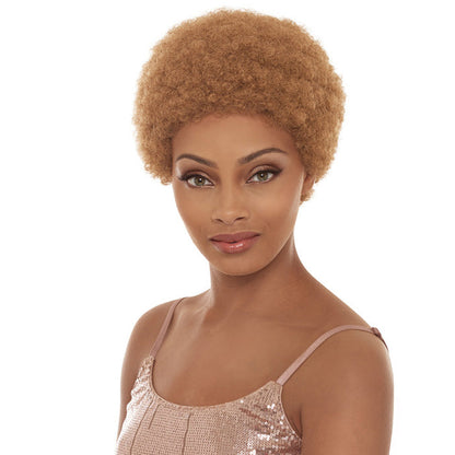 Janet Collection Full Wig - AFRO ROSEY Alexwigs