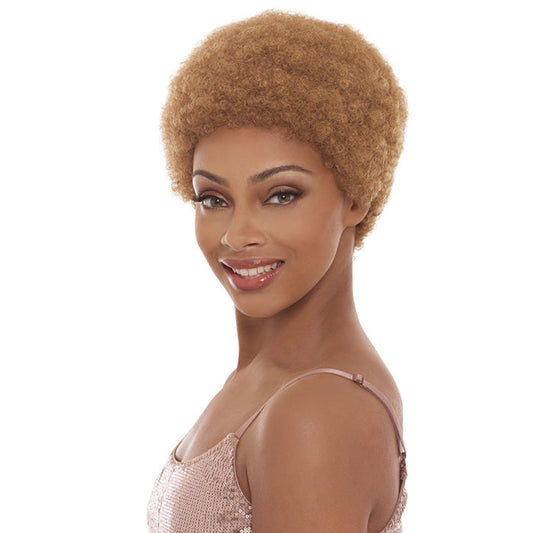 Janet Collection Full Wig - AFRO ROSEY Alexwigs