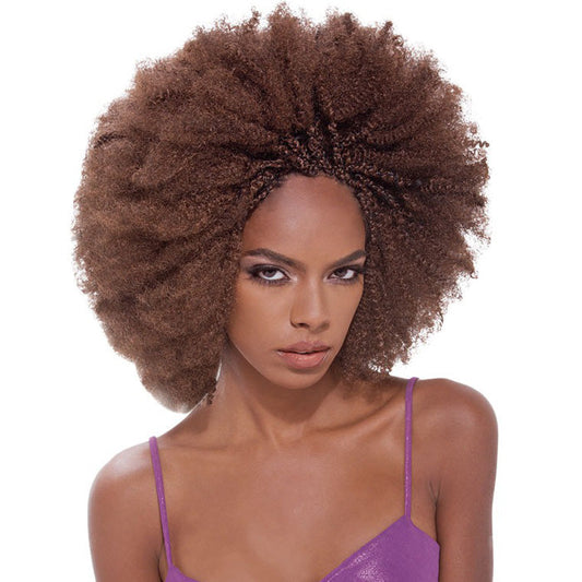 Janet Collection Human Hair Bulk AFRO KINKY 18 Inch Alexwigs