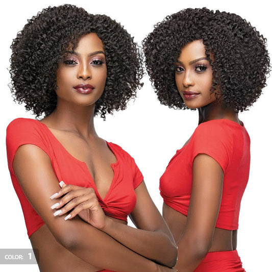 Janet Collection Premium Synthetic Natural Afro Full Wig - NEHA Alexwigs