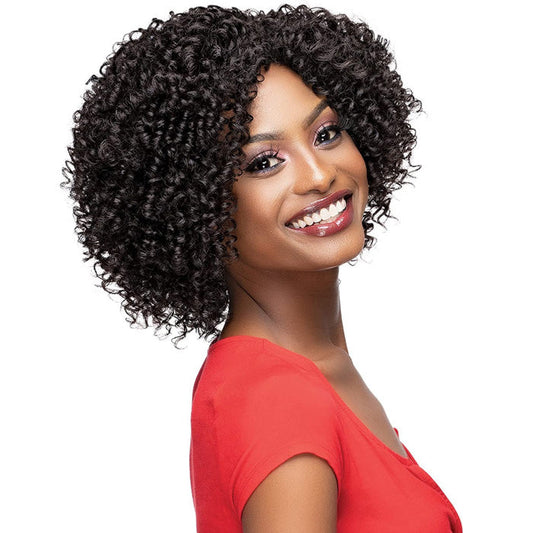Janet Collection Natural Curly Full Wig - NATURAL AFRO OREN Alexwigs