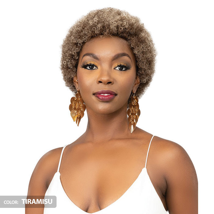 Janet Collection Natural Curly Full Wig - AFRO ABBO Alexwigs