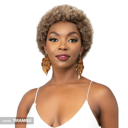 Janet Collection Natural Curly Full Wig - AFRO ABBO Alexwigs