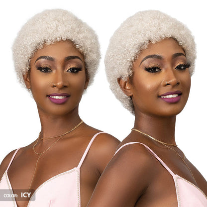 Janet Collection Natural Curly Full Wig - AFRO ABBO Alexwigs