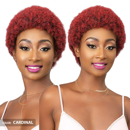 Janet Collection Natural Curly Full Wig - AFRO ABBO Alexwigs