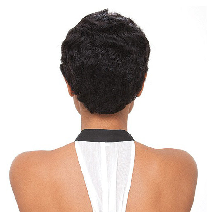 Janet Collection Human Hair Wig MOMMY Alexwigs