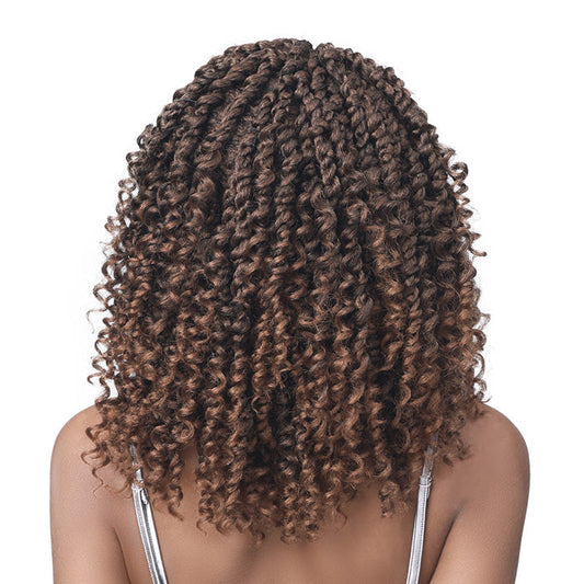Bobbi Boss Braided Synthetic HD Lace Wig 4X4 Deep Lace - MLF611 PASSION TWIST BOHO 16 Alexwigs