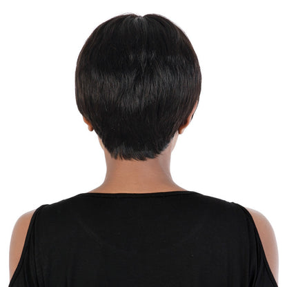 Seduction 100% Virgin Remy Human Hair Wig - SHH JANE Alexwigs