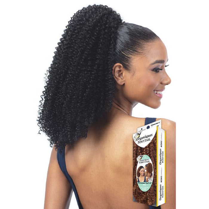 Shake N Go Organique Ponytail - BOHEMIAN CURL 14" Alexwigs